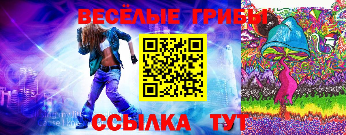 Псилоцибиновые грибы Psilocybine cubensis Касимов